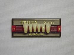 DENTE TRILUX L3 INFERIOR 2A - VIPI