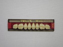 DENTE TRILUX M6 SUPERIOR 1A - VIPI