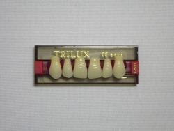 DENTE TRILUX E3 SUPERIOR 1A - VIPI