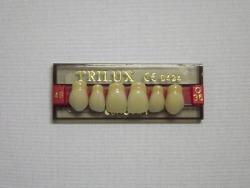 DENTE TRILUX O36 SUPERIOR 4B - VIPI