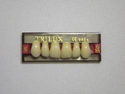 DENTE TRILUX O36 SUPERIOR 1C - VIPI