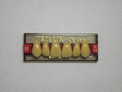 DENTE TRILUX R14 SUPERIOR 2B - VIPI