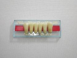 DENTE BLUE DENT 266 INFERIOR 69 - BLUE DENT