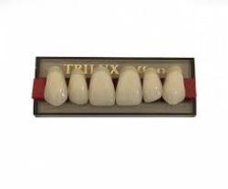 DENTE TRILUX O36 SUPERIOR 1D - VIPI