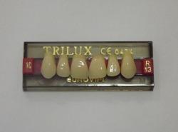 DENTE TRILUX R13 SUPERIOR 1C - VIPI