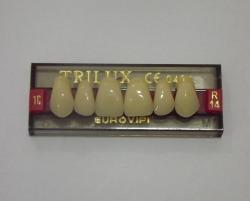 DENTE TRILUX R14 SUPERIOR 1C - VIPI