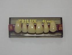 DENTE TRILUX T25 SUPERIOR 1C - VIPI